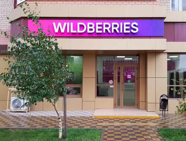 Эволюция Wildberries: От малого бизнеса к глобальному игроку