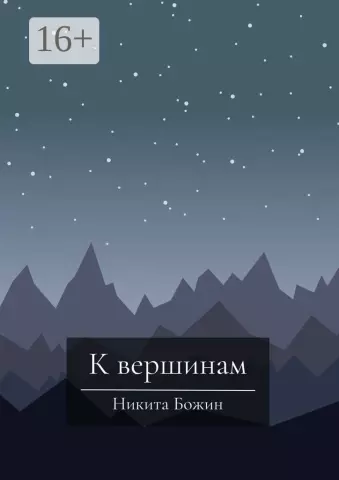 Wildberries: путь к вершинам рынка электронной коммерции